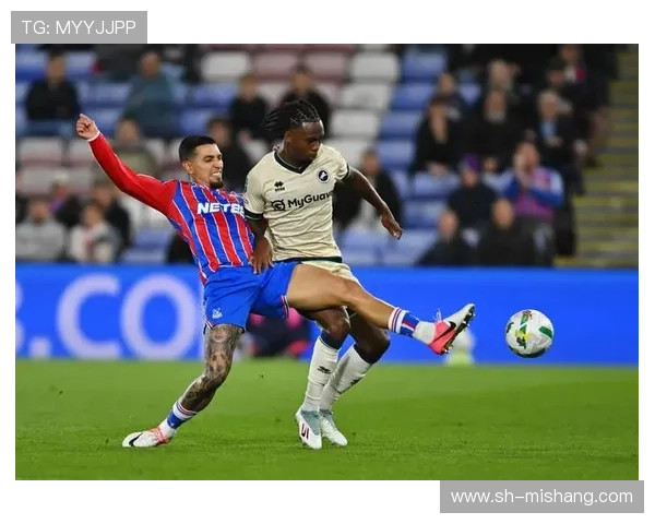 水晶宫球迷嘲热刺等降级狂欢